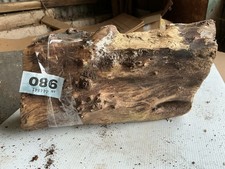 Pippy yew wood burr - pippy,