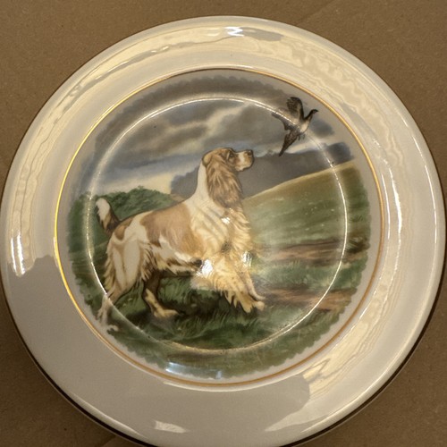 Wedgewood bone china - bone,