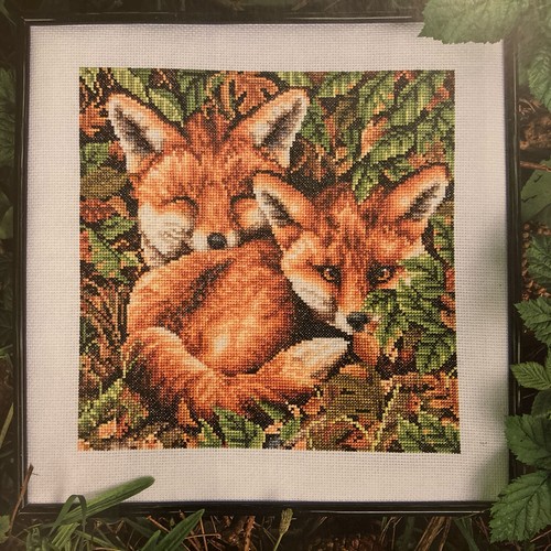 Jayne netley mayhew autumn fox