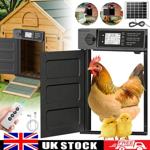 Automatic chicken coop door - chicken,