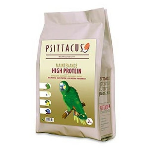 Psittacus parrot high protein - psittacus,