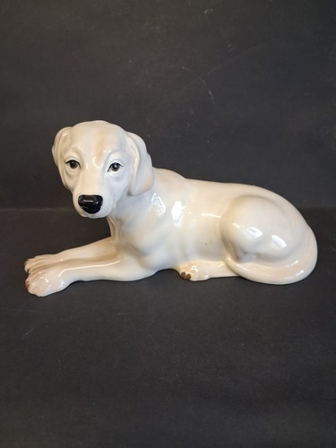 Szeiler labrador retriever - szeiler,