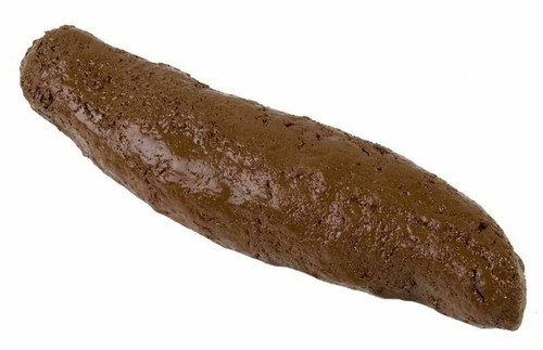 Fake hard long doggy - hard, poo