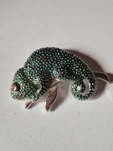 Cute pierre lang chameleon - pierre,