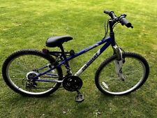 Apollo Gradient 12" frame.