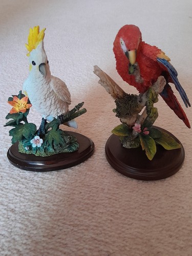 Country artists cockatoo - 2,