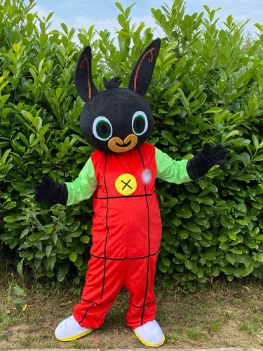 Adult bing character - character, mascot