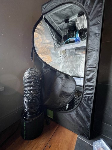 Complete grow kit budbox - kit,