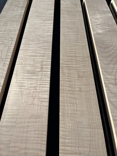 Curly tiger stripe - stripe, maple