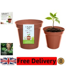 Versatile 20cm Terracotta