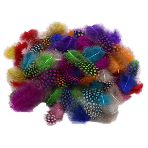 Spotted feathers assorted - feathers,