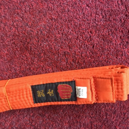 Martial arts belt karate - martial,