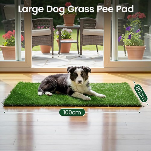 Dog grass mat 80x100cm strong - dog,