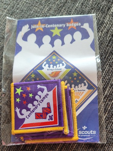 2007 scout badges - 2007, in