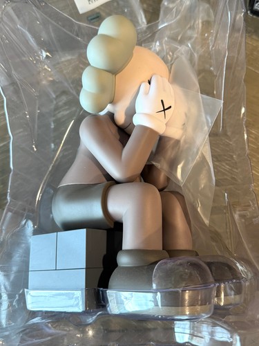 Kaws brown passing - brown,