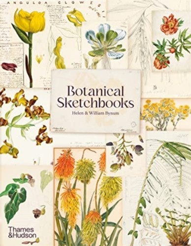 Botanical sketchbooks - botanical,