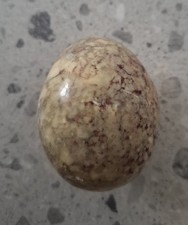Stone Decorative Egg