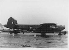 AVRO SHACKLETON - original