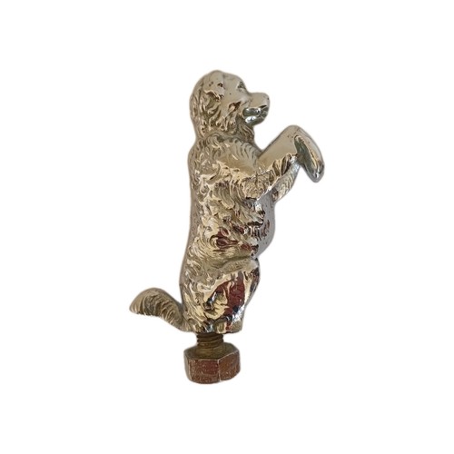 Vintage begging dog chromed - vintage, dog'