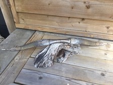 INDO PERSIAN stunning KOFTGARI