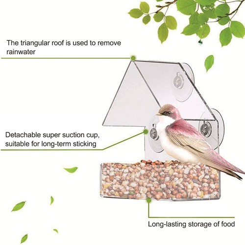 Acrylic bird cage - acrylic, feeder