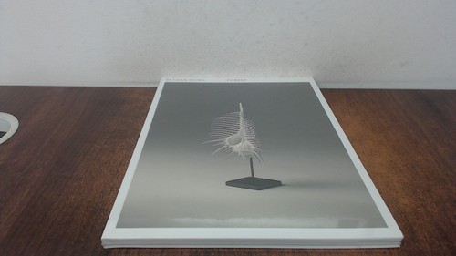 Bethan huws forest - bethan,