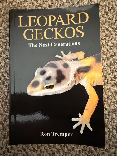 Leopard geckos the next - leopard,