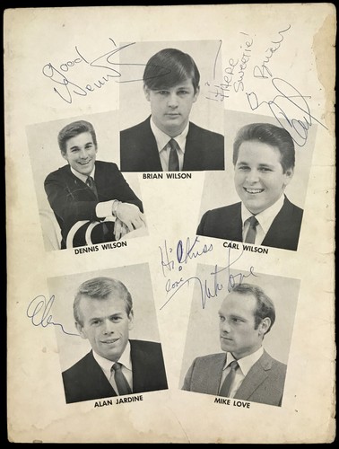 The beach boys - beach,