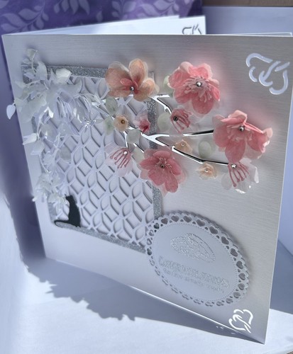 Special luxury handmade boxed - special,