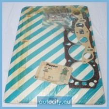 Payen CH864 Gasket Set