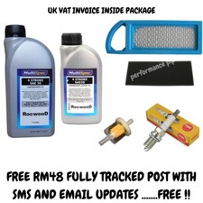 Briggs & Stratton Intek