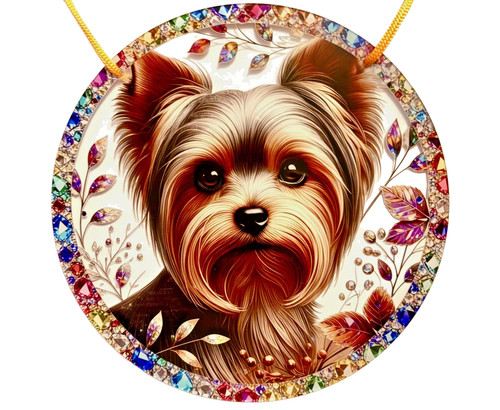 Large lovely yorkshire - large, terrier