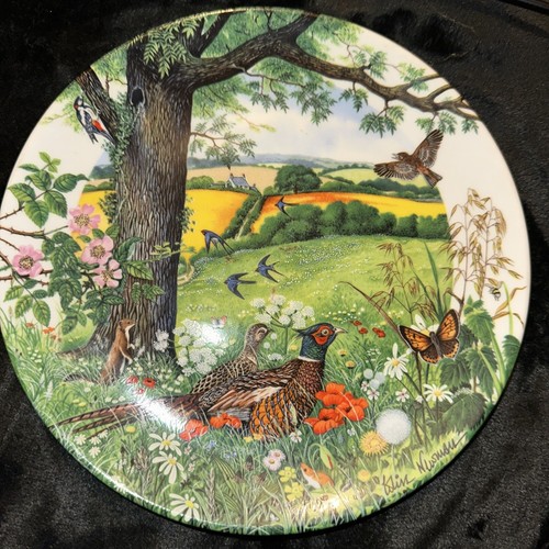 Wedgwood meadows and - wedgwood, "meadows
