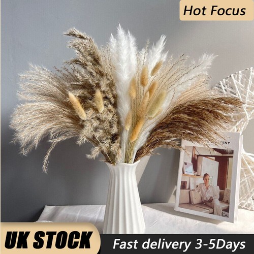 Pcs dried flowers pampas - 15,