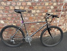 Marin Team titanium 1990 18.5inch