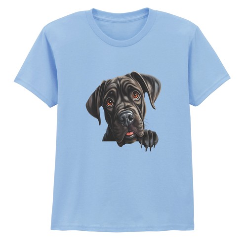 Cane corso puppy dogs animals - cane,