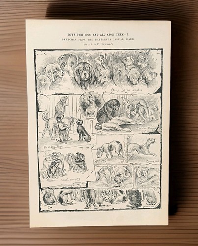 Antique 1887 london - antique,
