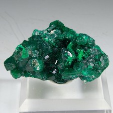 Gorgeous DIOPTASE Cluster -