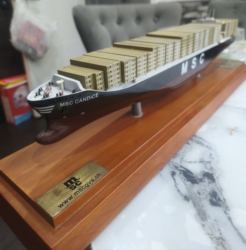 Msc candice container - msc,
