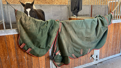 Horseware ireland rambo duo - ireland,