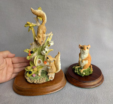 Leonardo collection nature