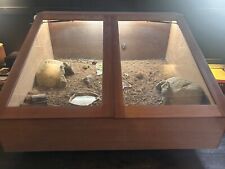 Large bespoke vivarium Reptile, Tortoise, Snake