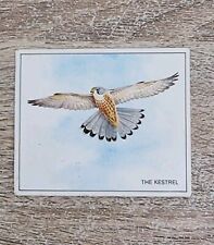 Sugar Puffs Nature Trek