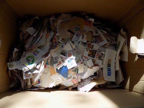 11kg box world loose - 11kg, +