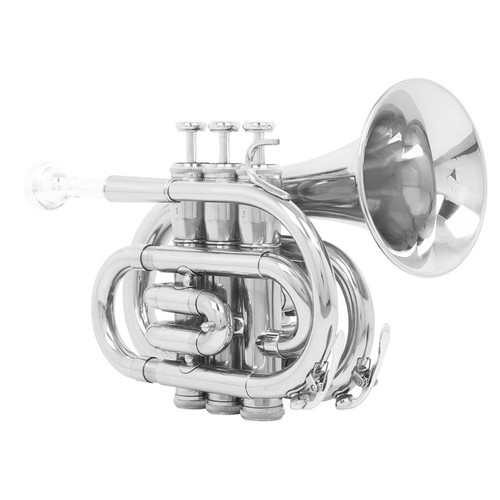 Flat pocket trumpet - b,