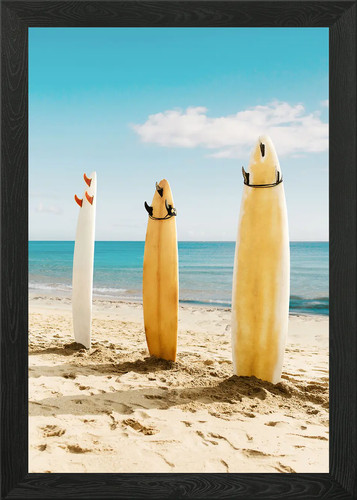 Malibu surfboards framed wall - surfboards,