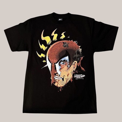 Mask and disguise - spiderman, xl