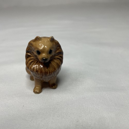 Hagen renaker pomeranian - hagen, dog
