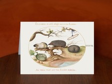 Guinea Pig and Hedgehogs with