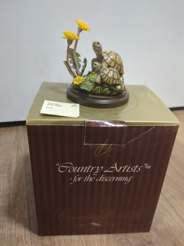 Tortoise with baby - tortoise,
